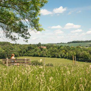 Welcome to Chilterns National Landscape