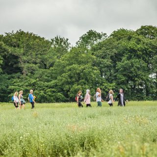 Read our 2024/25 annual review