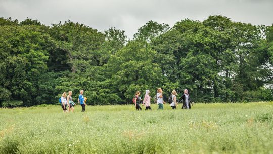 Read our 2024/25 annual review