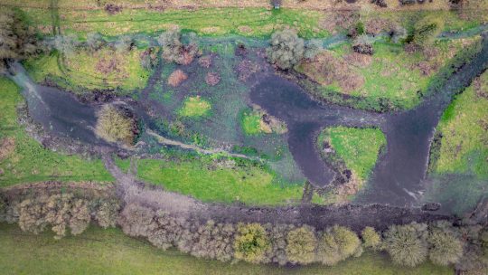 Five Chilterns’ projects join the Big Chalk network for nature recovery