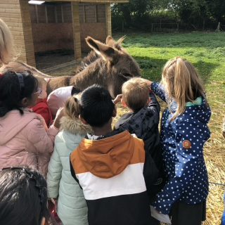 Countryways at Road Farm