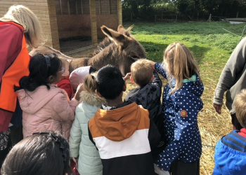 Countryways at Road Farm