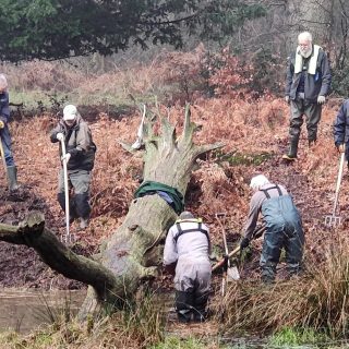 Friends of Naphill Common