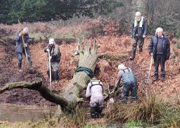 Friends of Naphill Common