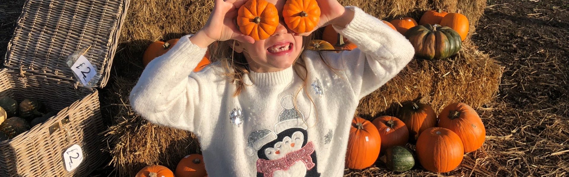 The Pumpkin Patch at Christmas Tree Farm, Chesham