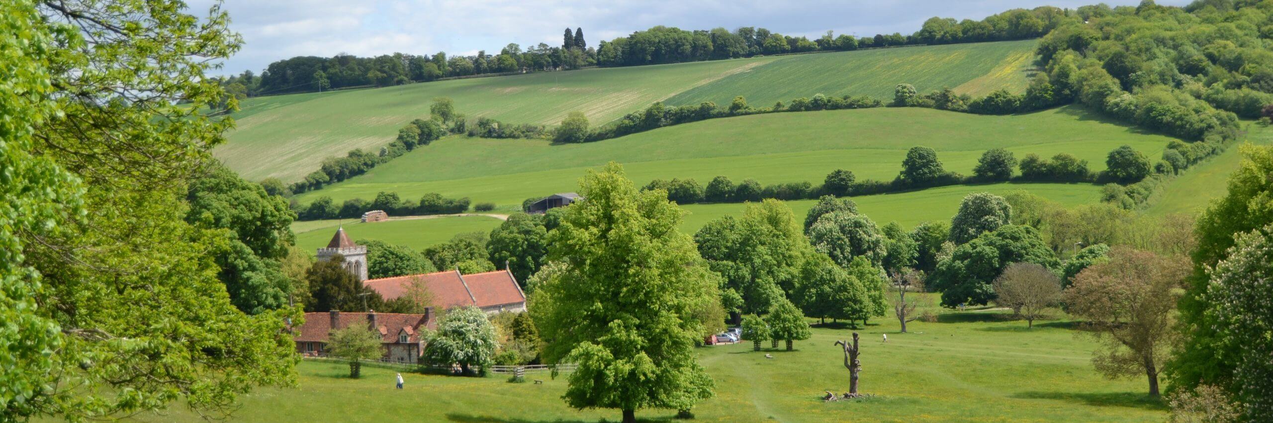 Chalk, Cherries & Chairs