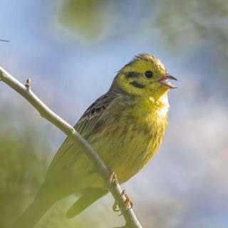 The Chilterns National Landscape welcomes new members and Chair to its Board