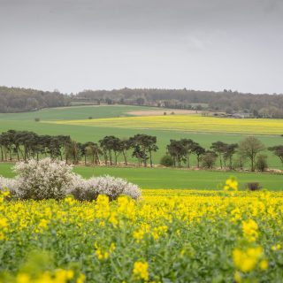 An update on our management plan