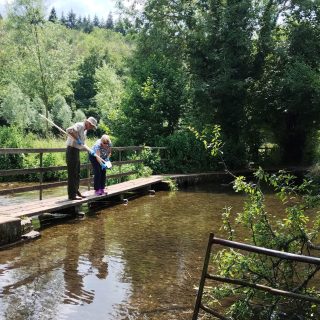 New citizen science report highlights critical findings