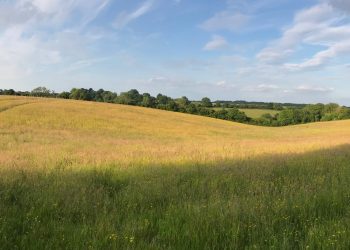 Aston Clinton Society