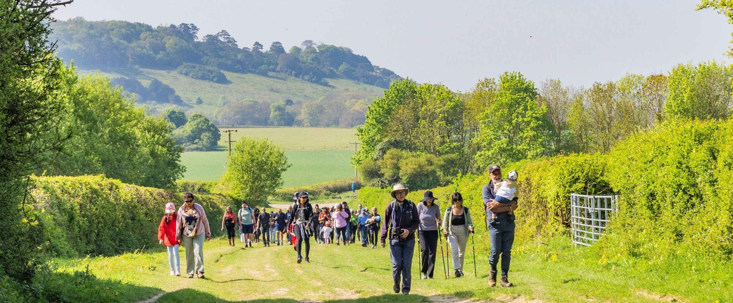 Discover the Chilterns