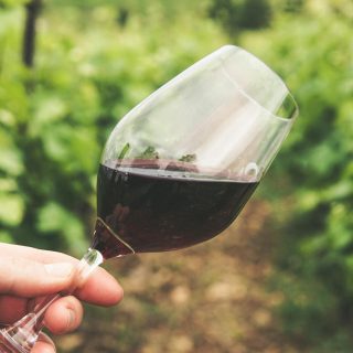 pexels-grape-things-2954924