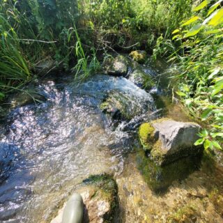 Celebrate World Rivers Day with Not Bourne Yesterday!