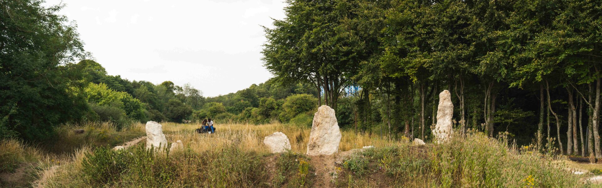 Nature Calling: Luton Henge