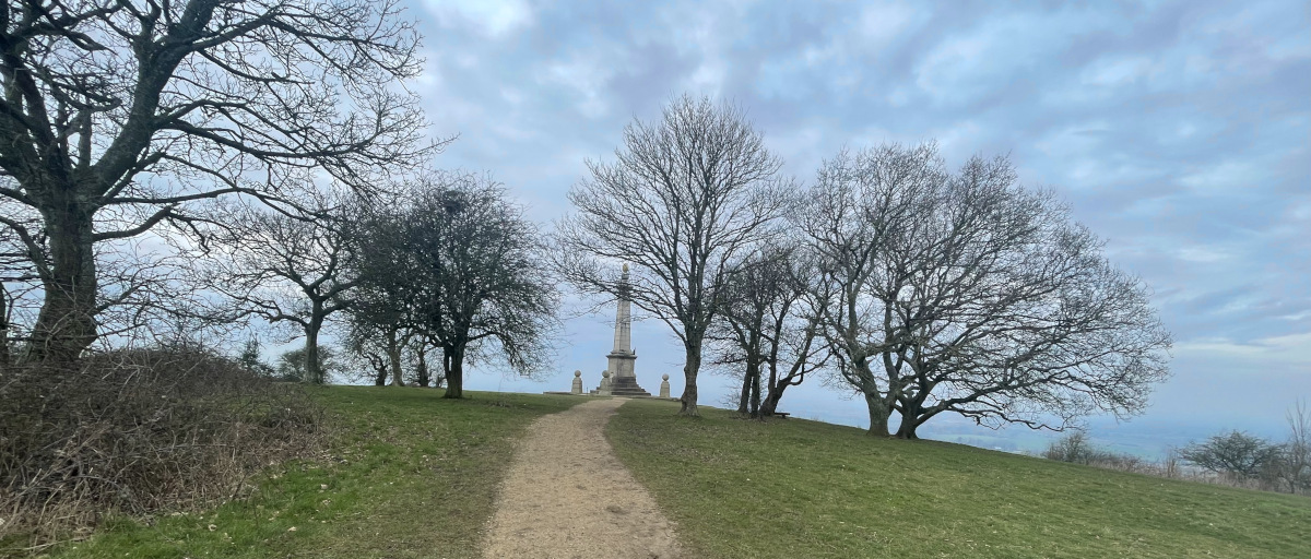 Image of a path through some trees with a monument at the end of the path.