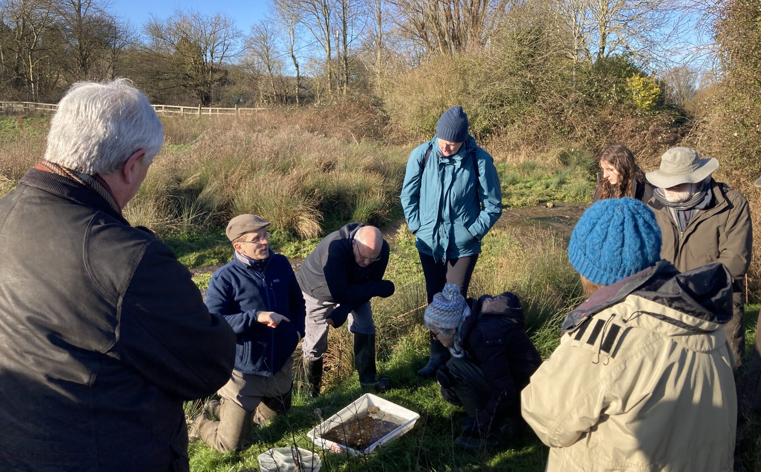 nc farm cluster with Allen