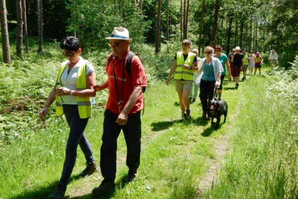 A group of about 10 people walk along a forest track in pairs. One person in each pair is wearing a high vis vest and guiding their partner. One person has a black guide dog.