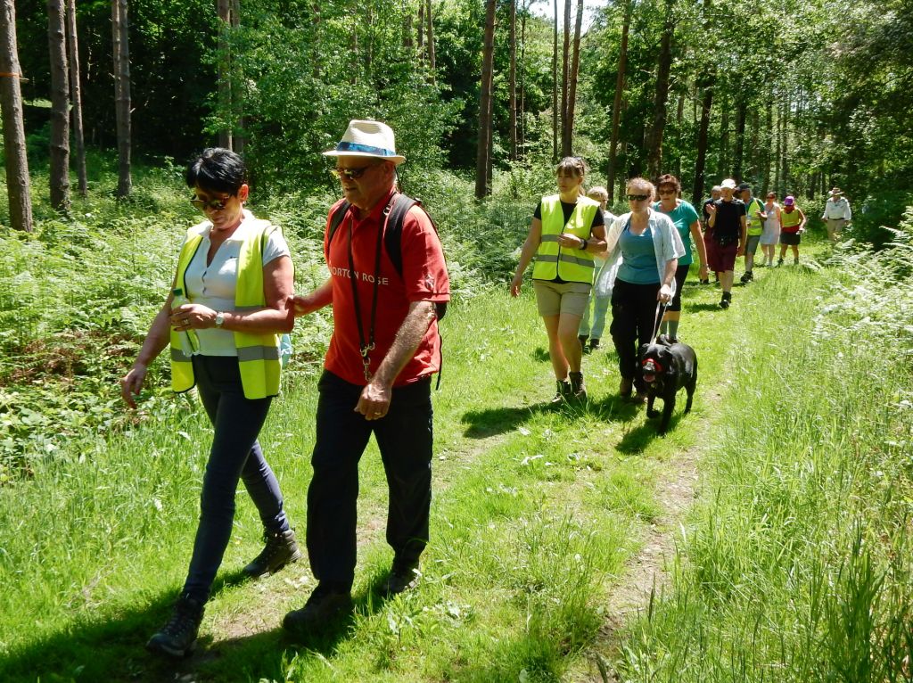 A group of about 10 people walk along a forest track in pairs. One person in each pair is wearing a high vis vest and guiding their partner. One person has a black guide dog.
