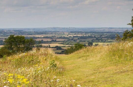 Image of a grassy hilltop with fields in the distance.