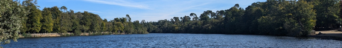 Photo of a lake surrounded by trees.