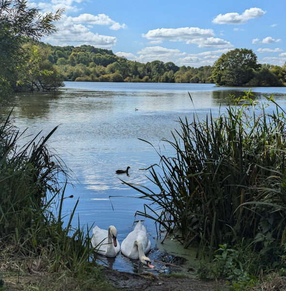Rickmansworth Aquadrome