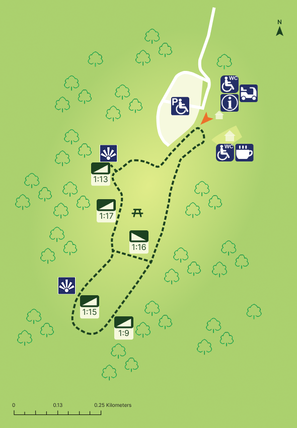 A simple map showing a woodland and a circular path with icons to show facilities.