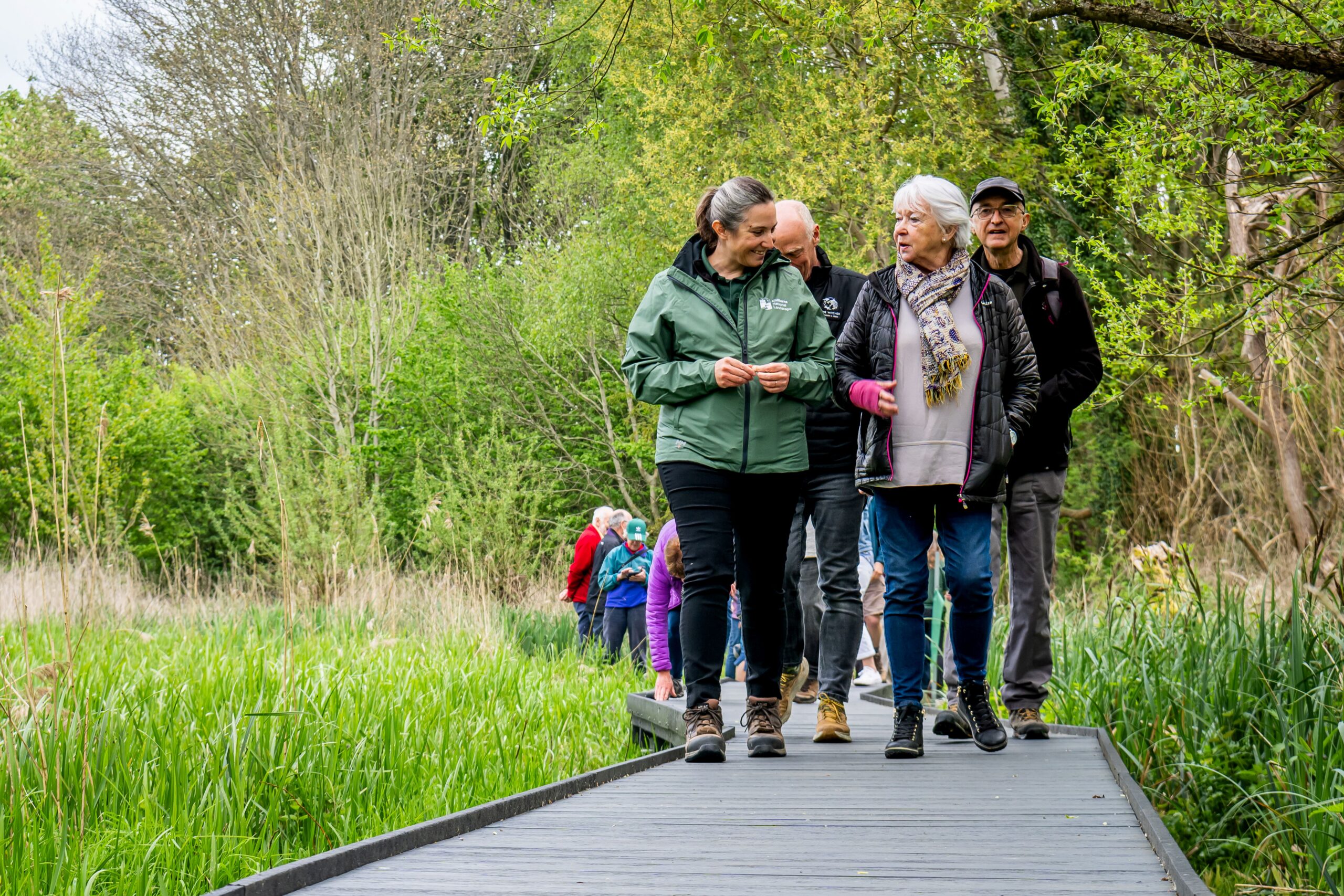 A group of adults walk on a new boardwalk over a wetland.