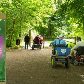 Bringing the Chilterns to life