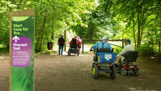 Bringing the Chilterns to life