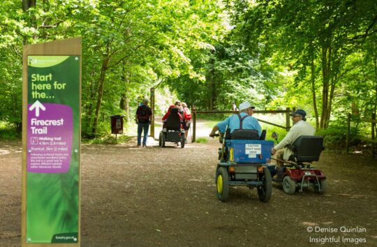 Access guides and videos