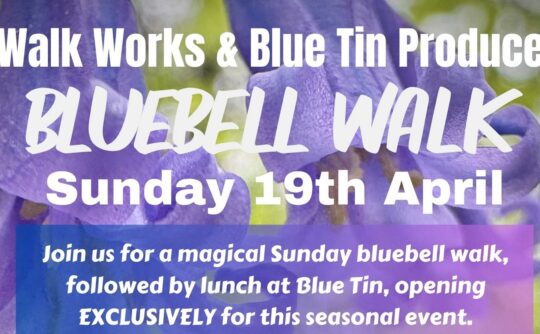 walkworks17.02.26 walk