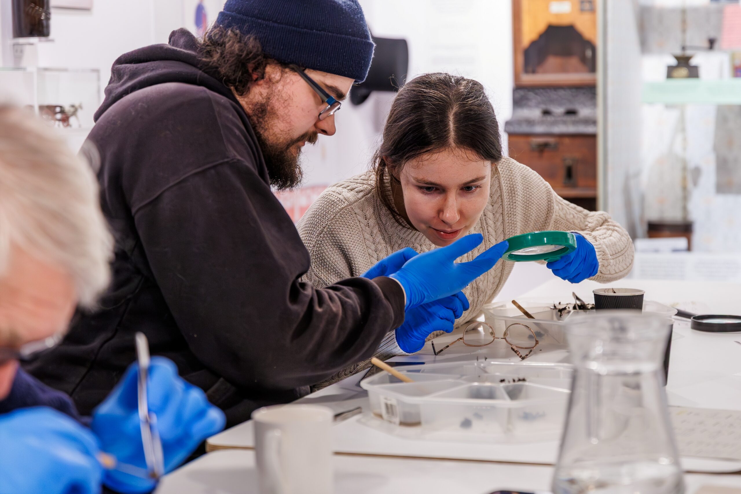 young adults taking part in an owl pellet dissection session