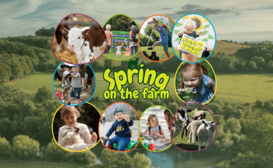 10 images of children and farm animals in bubbles with an image of a field as the background.