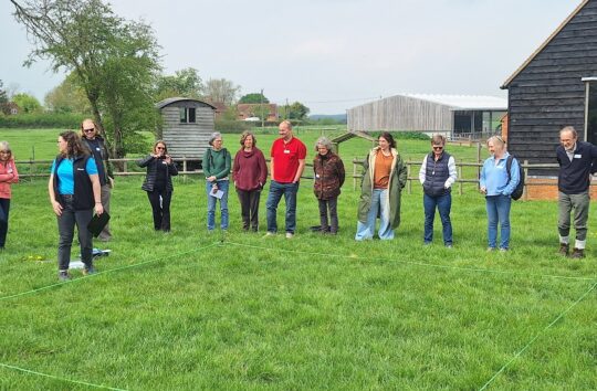 Getting everyone involved