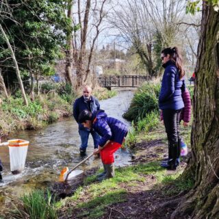 Trout release? Wye-ever not!