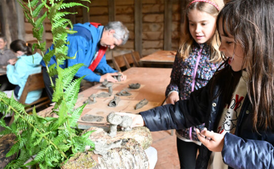 Two young girls make clay shapes while an adult works in the background.