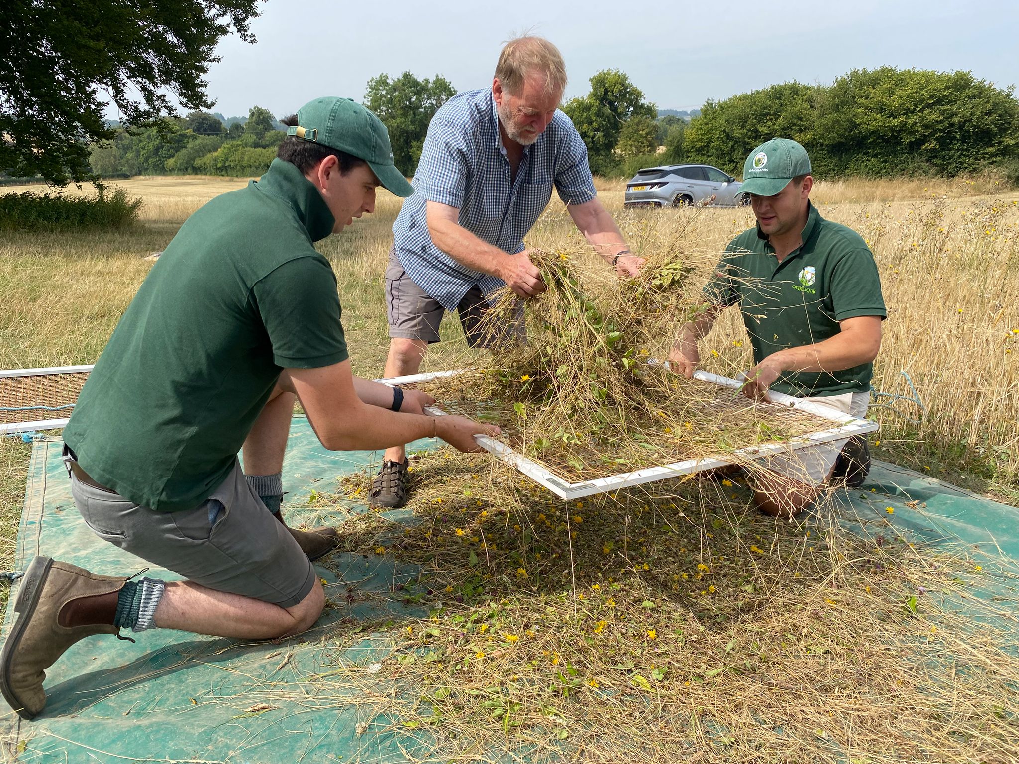Two men in green polo shirts kneel and hold a large square sieve while a man in a blue shirt shakes hay over the sieve.