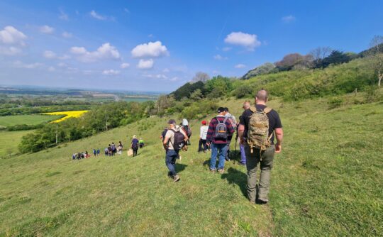 A group of people walk down a hill on a sunny day.