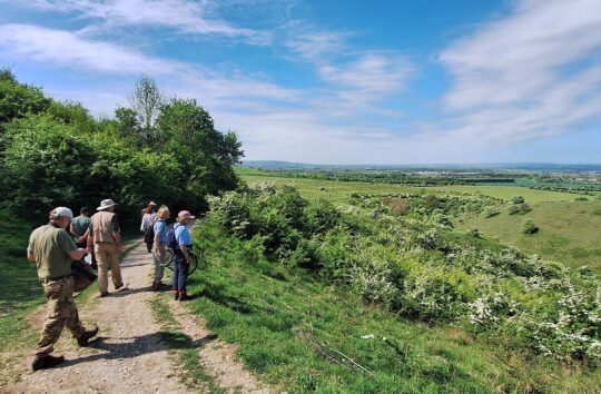 A group of 6 people walk along a track at the top of a hill in summer.
