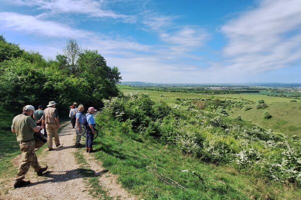 A group of 6 people walk along a track at the top of a hill in summer.