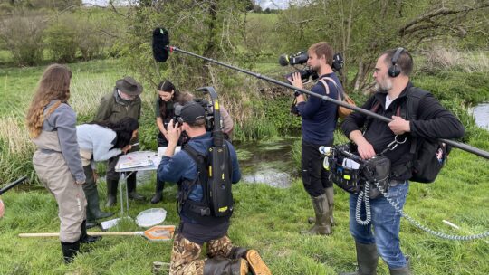 Chalking Up Success: Chilterns National Landscape Featured on BBC Countryfile