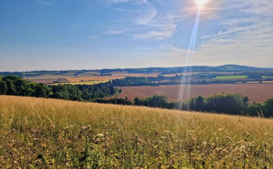 Chilterns view for Dadimas