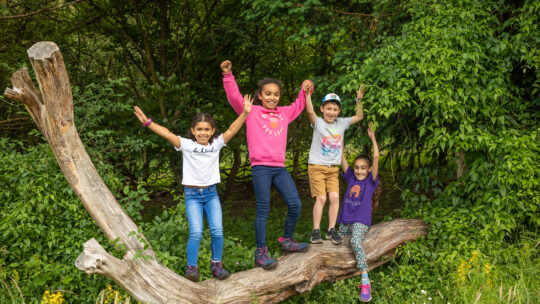 Chilterns Discovery Day event to showcase 30 unique experiences this July
