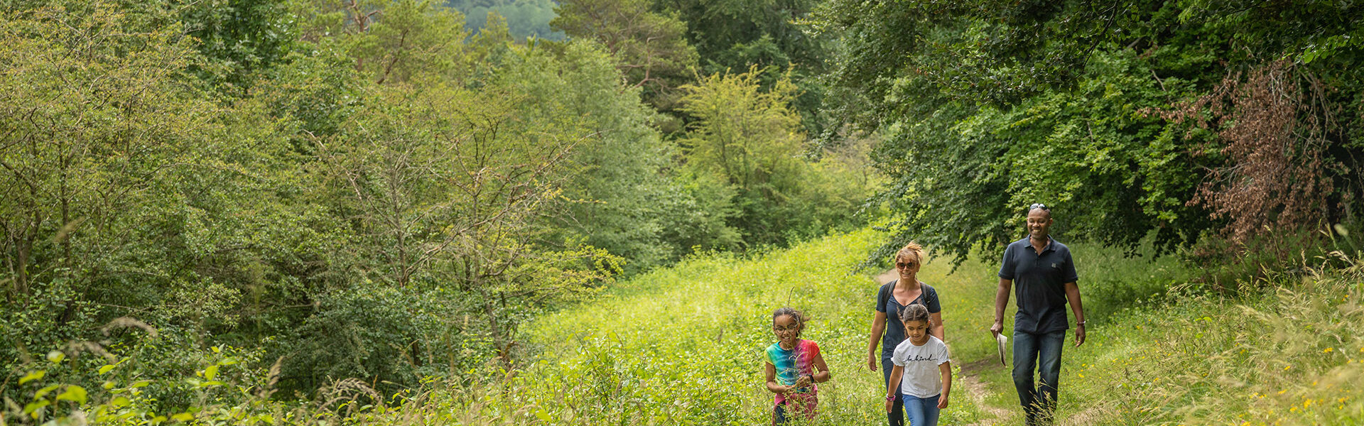 The Management Plan for the Chilterns National Landscape 2025-2030