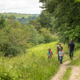 The Management Plan for the Chilterns National Landscape 2025-2030