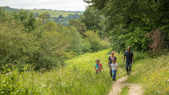 The Management Plan for the Chilterns National Landscape 2025-2030