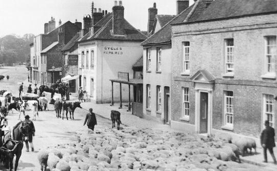 Old Amersham guided walk