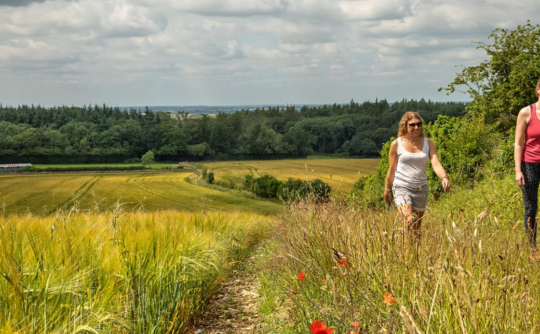 Chilterns Discovery Day