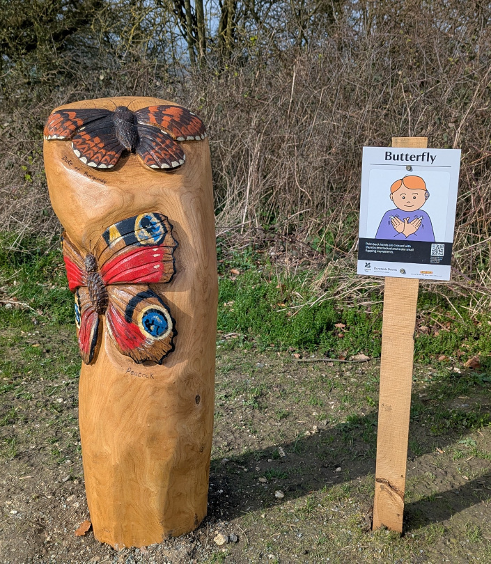 Sculpture of butterfly on Dunstable Downs woodland walk nature signs