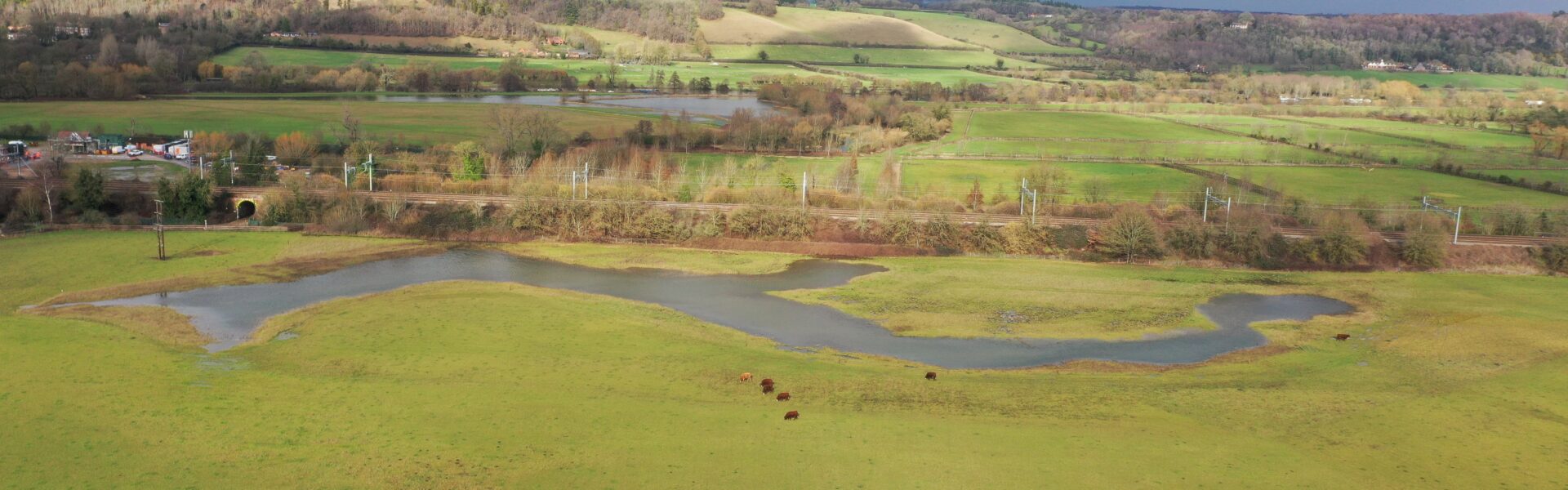 The Chilterns National Landscape welcomes publication of the government’s plan for nature